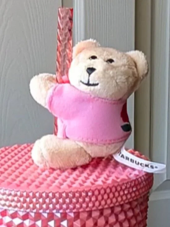 Brand New Starbucks Japan 🇯🇵 Exclusive Mother’s Day Bearista Bear Message Gift - Picture 3 of 9